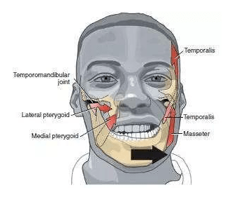 牙关节痛张口痛怎么办