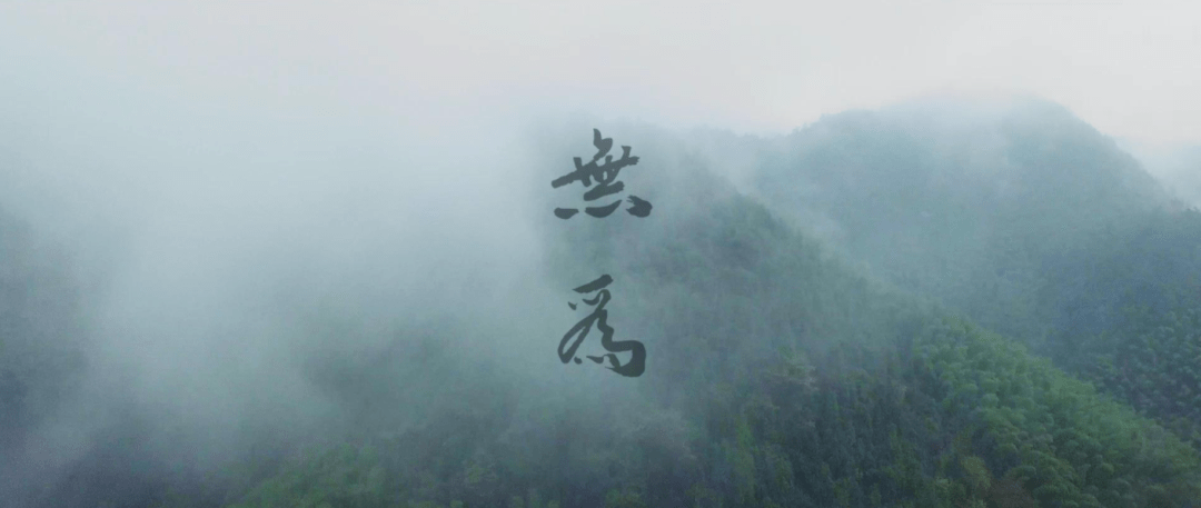 风起于青萍之末_交易