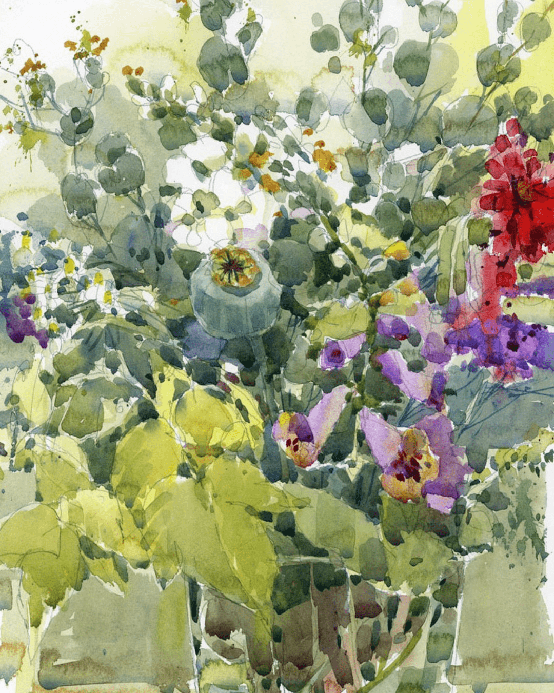 加拿大水彩画家——shari blaukopf作品欣赏(花卉篇一)