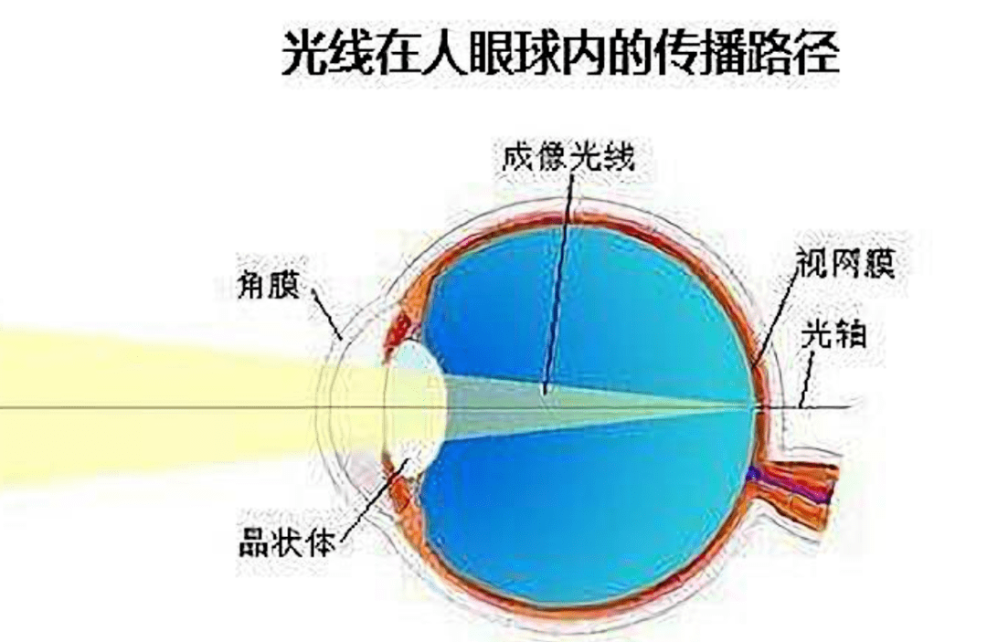 0cdd2172e6cb43169b78bb369cb376a3.png