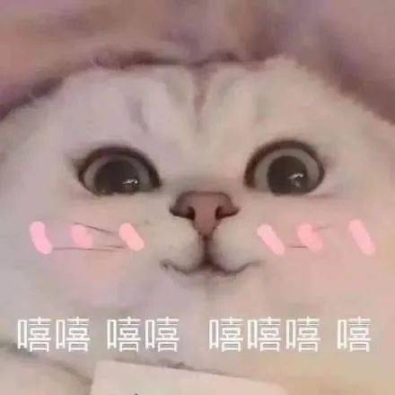 网友|微信又更新，终于等到了
