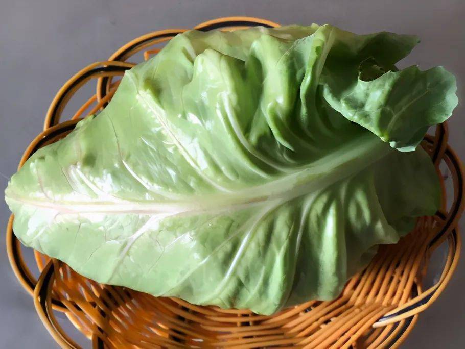第三:烹饪方法不同因为圆形包菜和牛心菜的口感以及烹饪之后的口感不