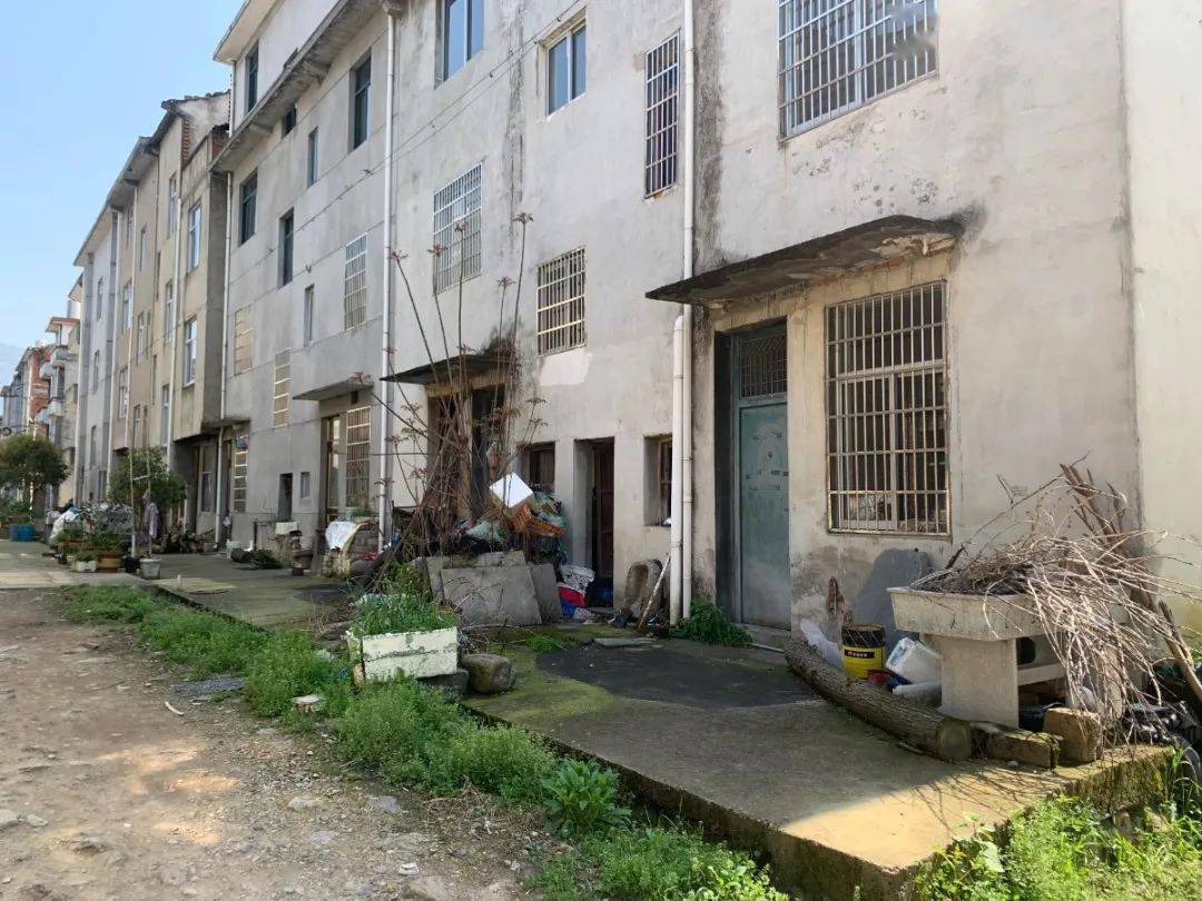 第四期临海农村人居环境红黑榜来了!河头,白水洋,括苍等地上榜_括苍镇