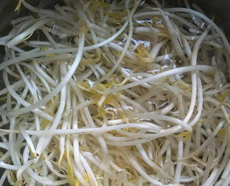 韭菜炒银芽:清香鲜美,脆嫩爽口,成本不过3块钱_绿豆芽