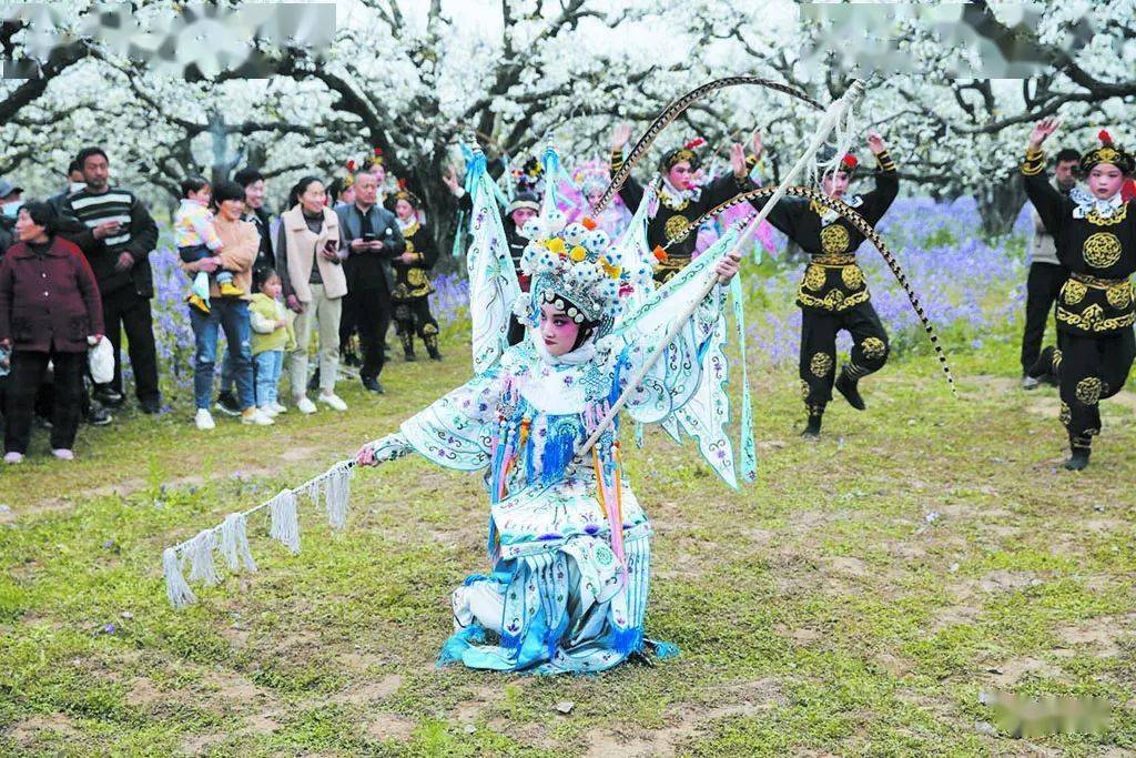 巫山梨花节图片