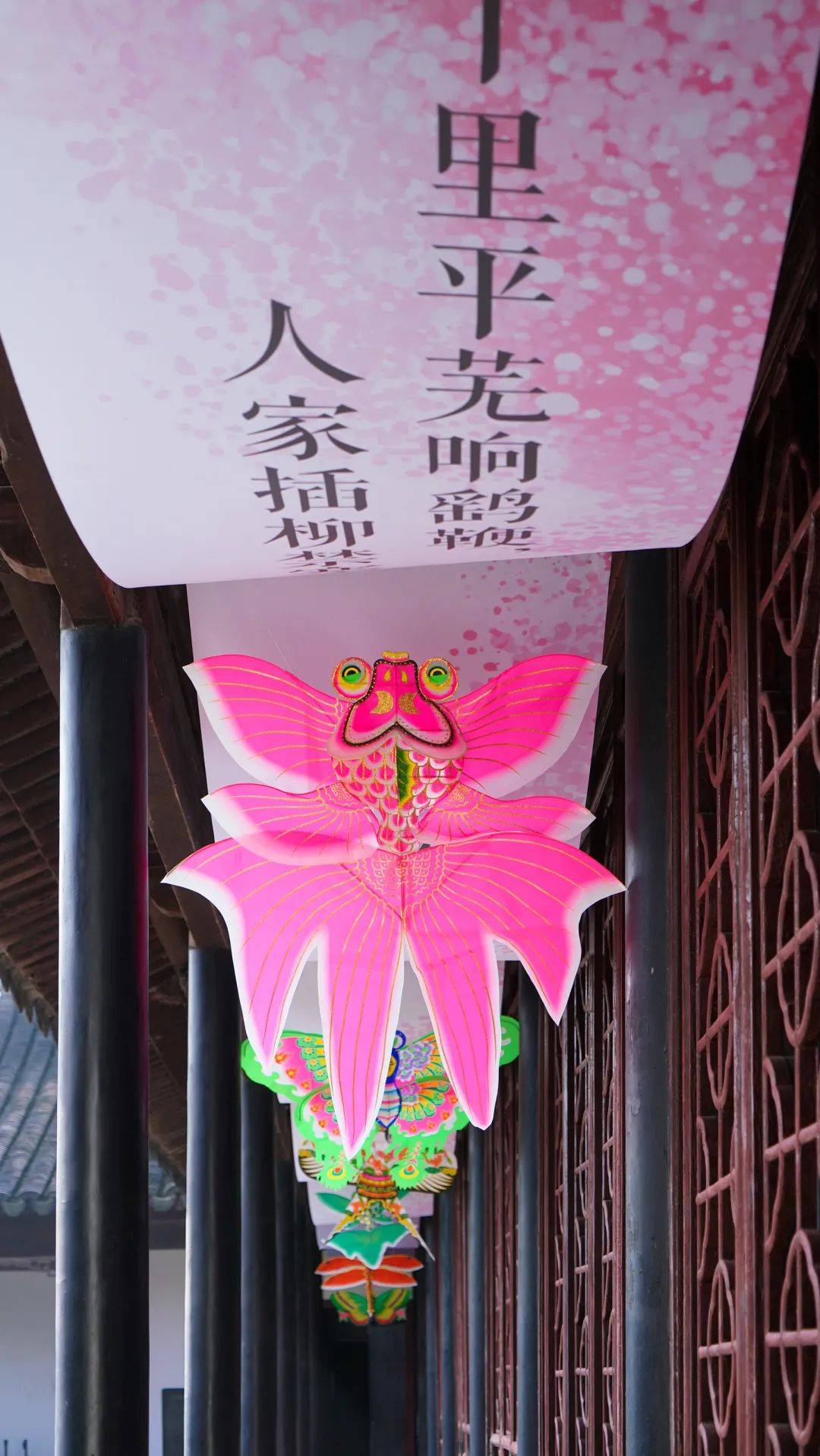 苏博新展诗意江南二月鹞里的风筝世界