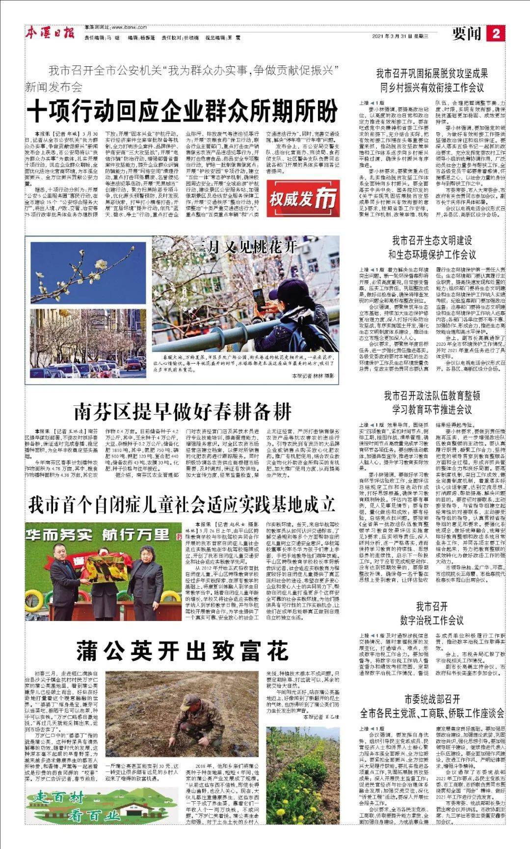 蒲公英开出致富花 万岁仁