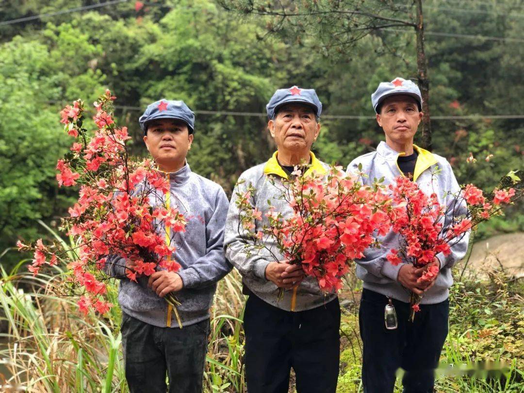 红军烈属心中它是早春的迎春之花它是尽染山野岭上开遍映山红清明花