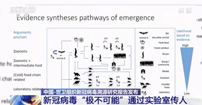 調查其他國家的潛在早期傳播「是重要的」！新冠病毒溯源聯合研究報告發布 科技 第1張