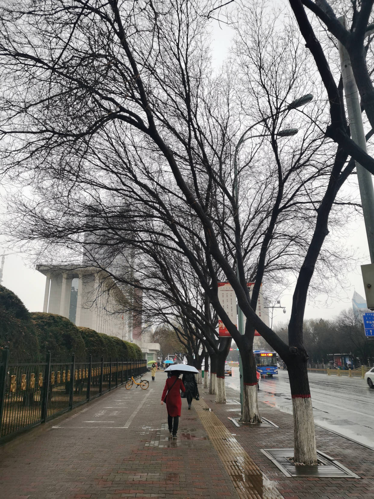 又一场及时雨