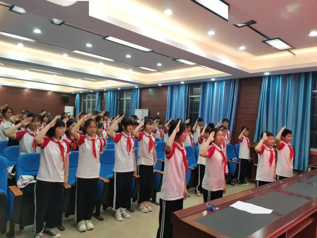 (新宁四小)(新宁二小)(民族小学)(山圩中心小学)(实验学校)(龙华中学)