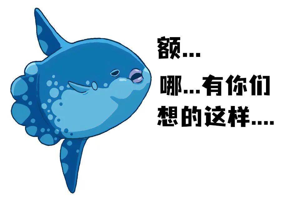 翻车鱼被海星吃了?