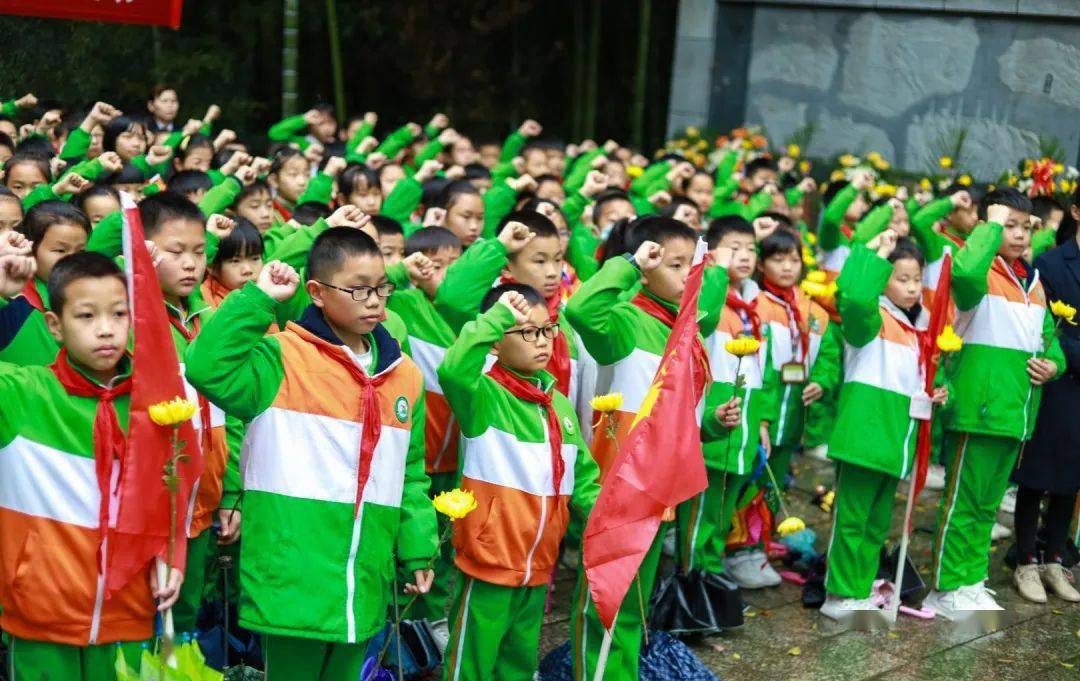 缅怀革命先烈传承红色基因玉潭街道新山小学清明祭英烈活动