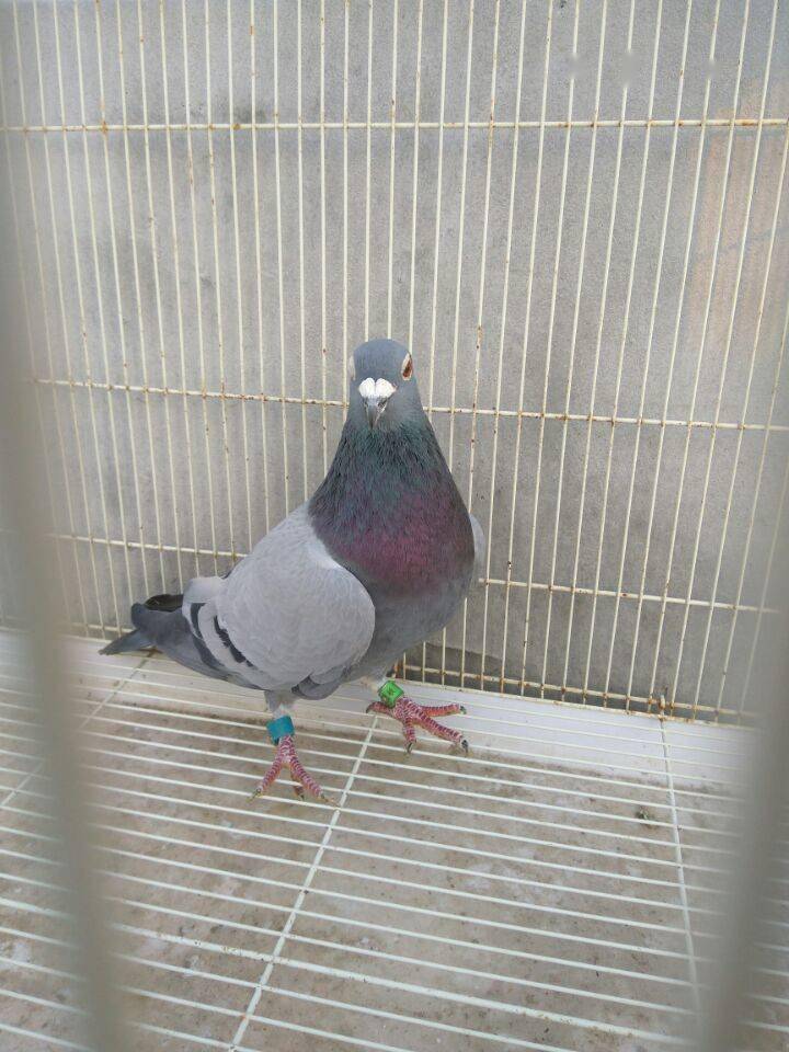 c7a5d8ae02d34926aeeb15eea45a5f8e.jpeg