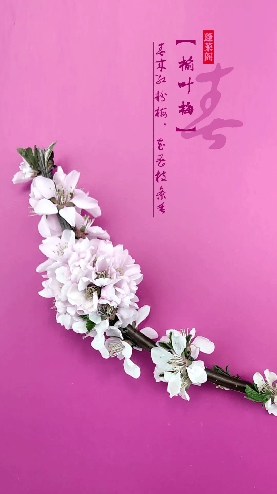 f15863b896884325b0c76261c1024be3.png