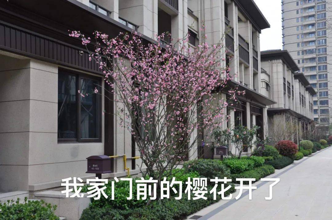 文章配图-167