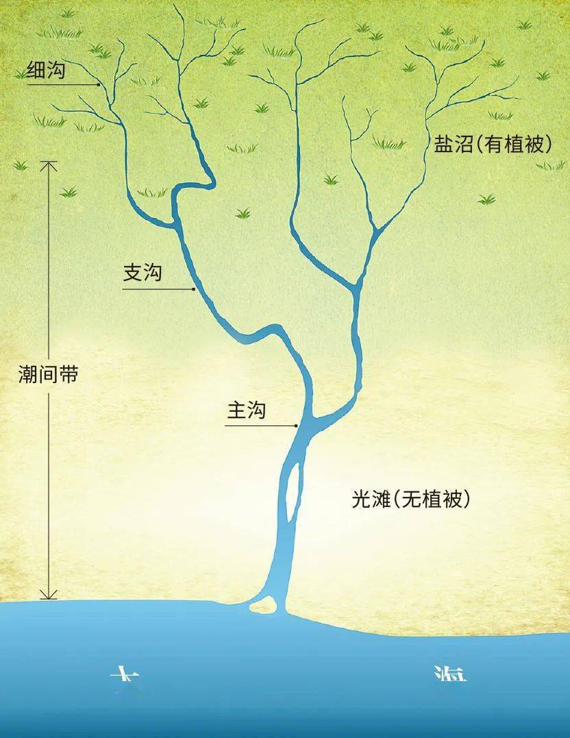 巧克力山好吃吗?地理十问十答来了