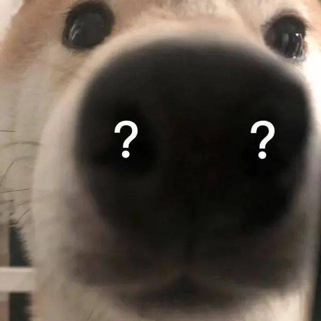 沙雕猫表情包沙雕柴犬表情包