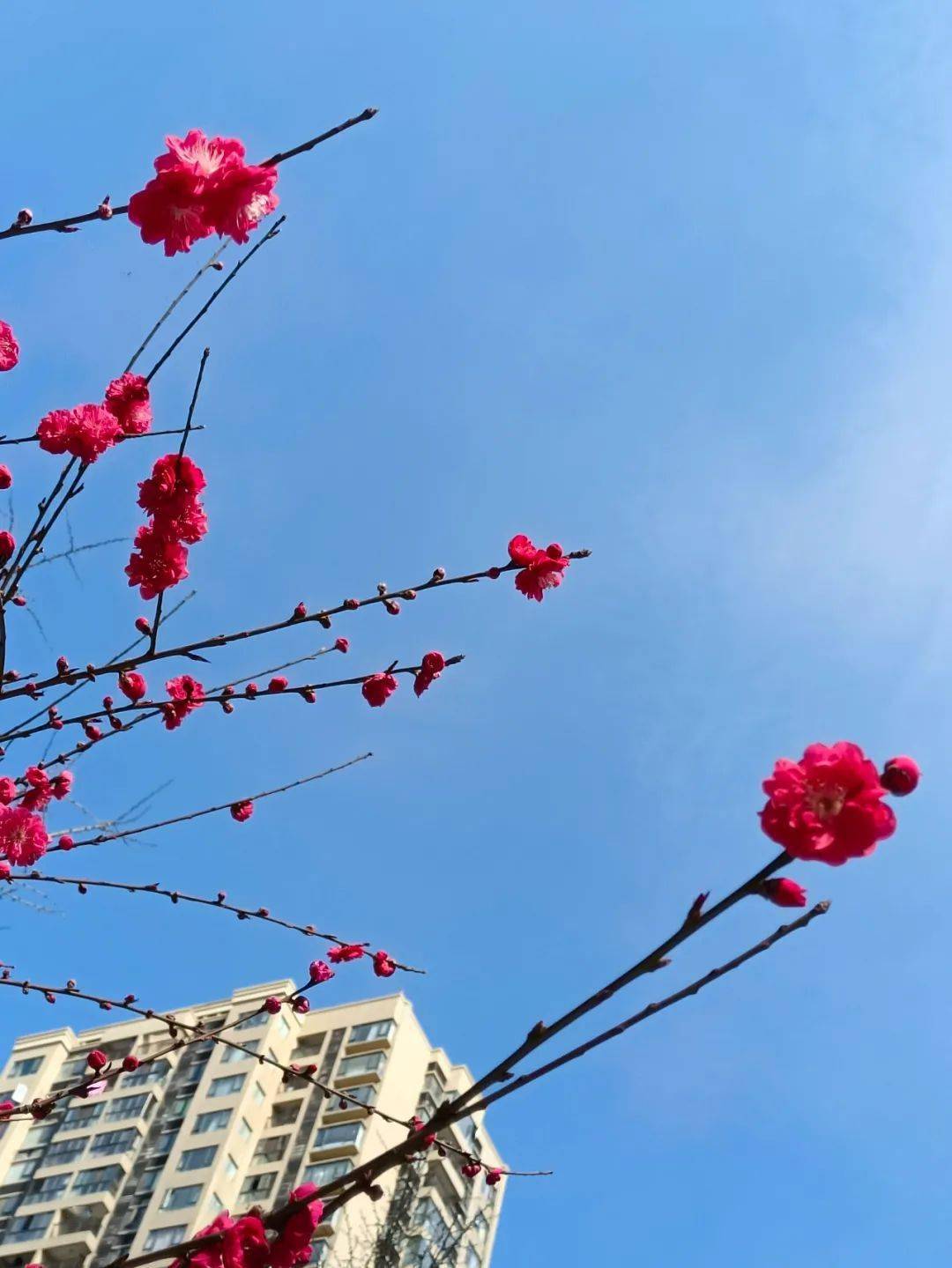 文章配图-52