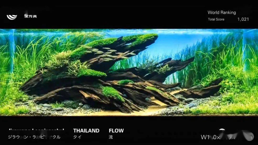 近20年的回顾ada,iaplc历史获奖作品回顾之2019年(19)_造景