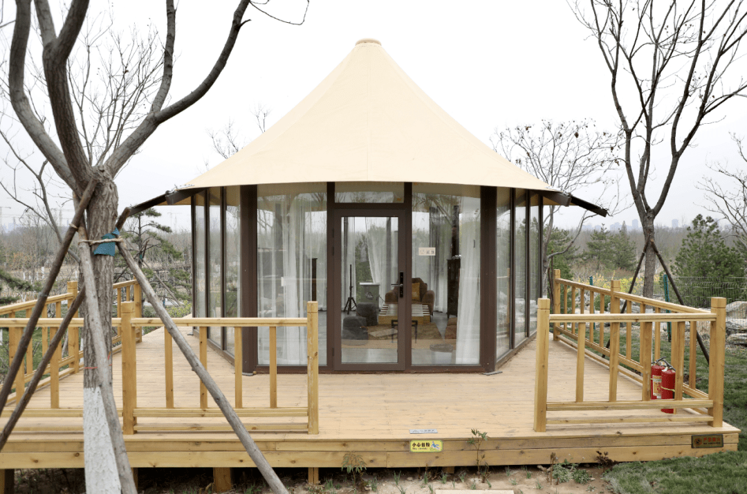 绿心公园绿洲亲子营地焕然升级秒变萌宠乐园网红打卡地