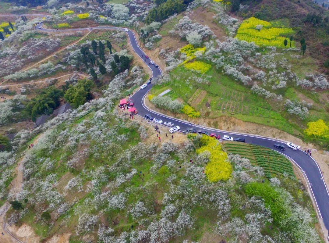 四川首批鄉村治理示範村鎮名單公佈_鄰水縣