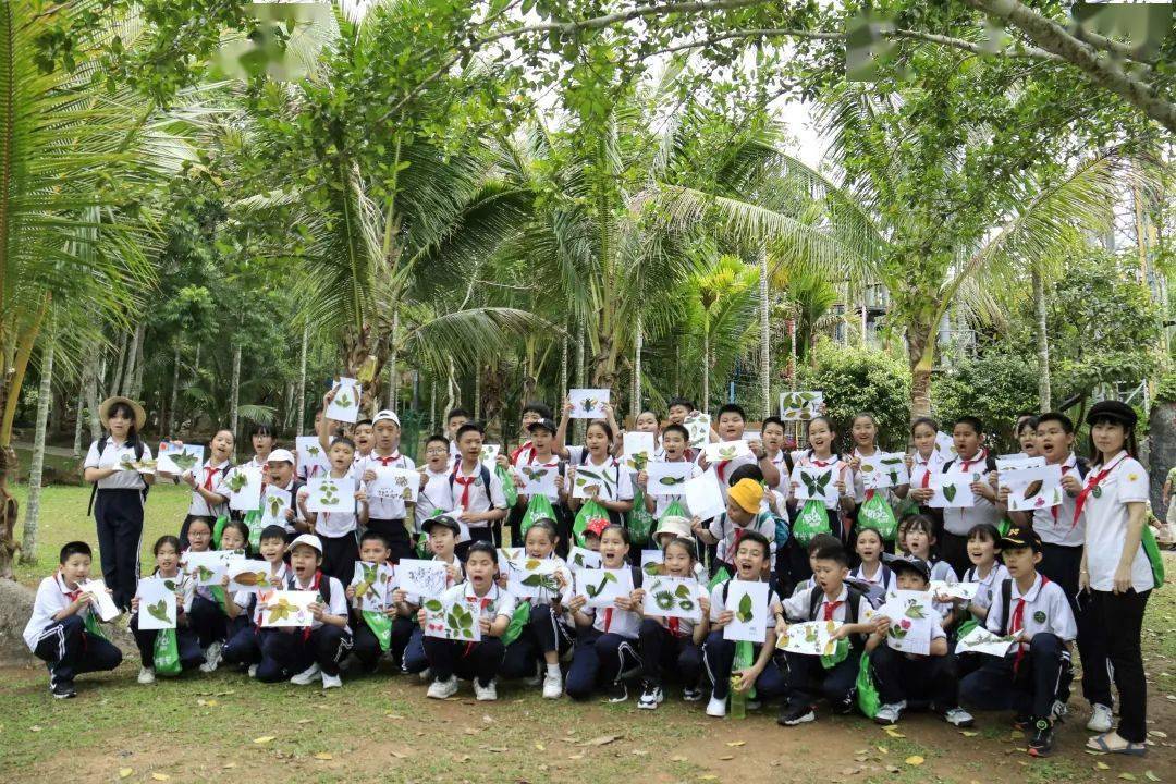 篤行少年探秘雨林三亞市第九小學六年級呀諾達研學之旅圓滿結束