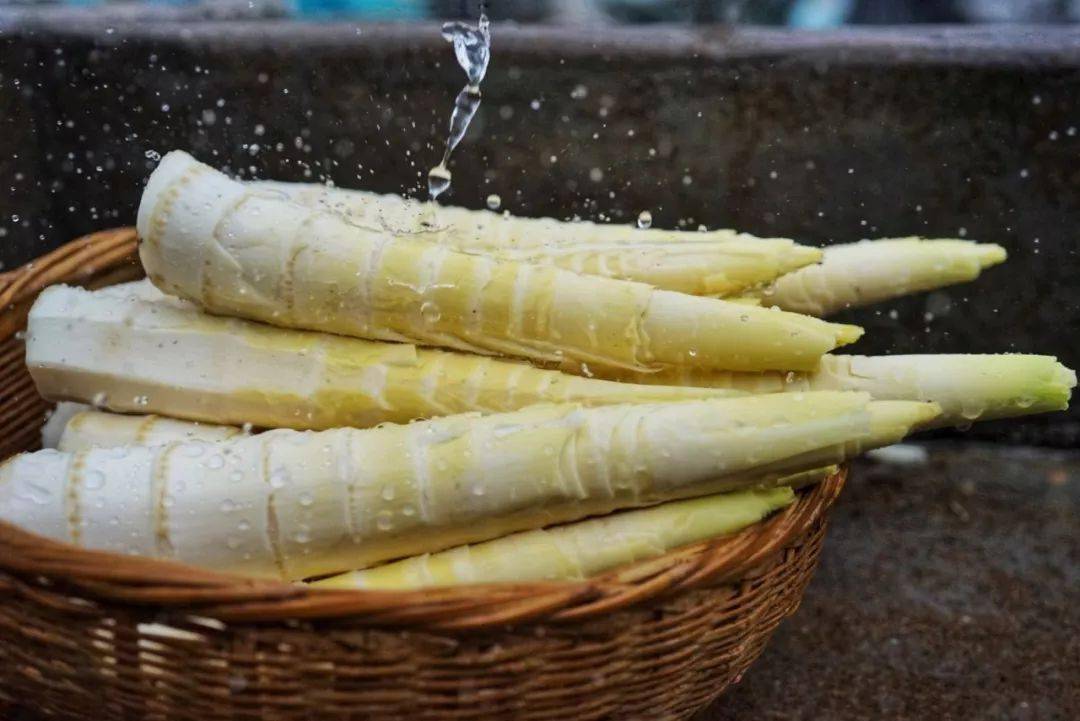 真快乐app时令天目山雷笋现采现挖 新鲜直运-点击抢购-关于美食,每个