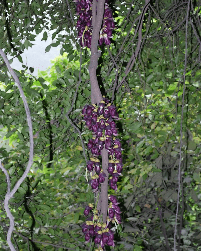 看完才知道,剧中的人设太真实了!_白藤