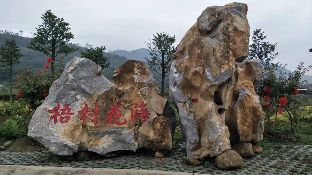 三月三来北流梧村共度一场牡丹花樱花文化旅游节