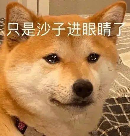 acfa4372db7244bbb6afe340574df66a.jpeg