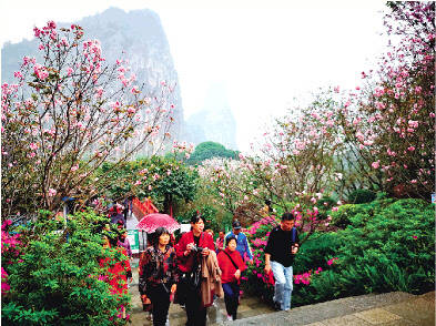清明小长假 桂林市区公园景区春意盎然引八方游客
