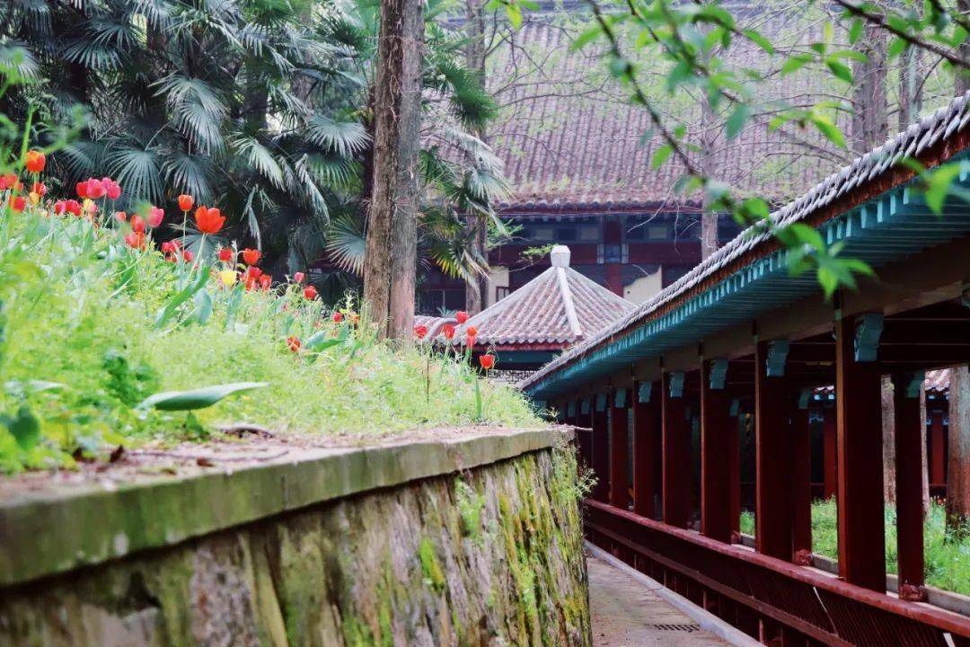 随园建筑在凝固的音乐里漫游