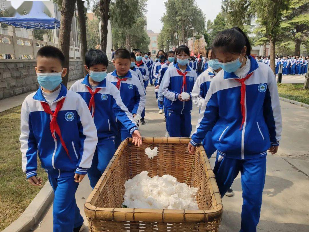 新乡市第二中学开展清明祭扫活动