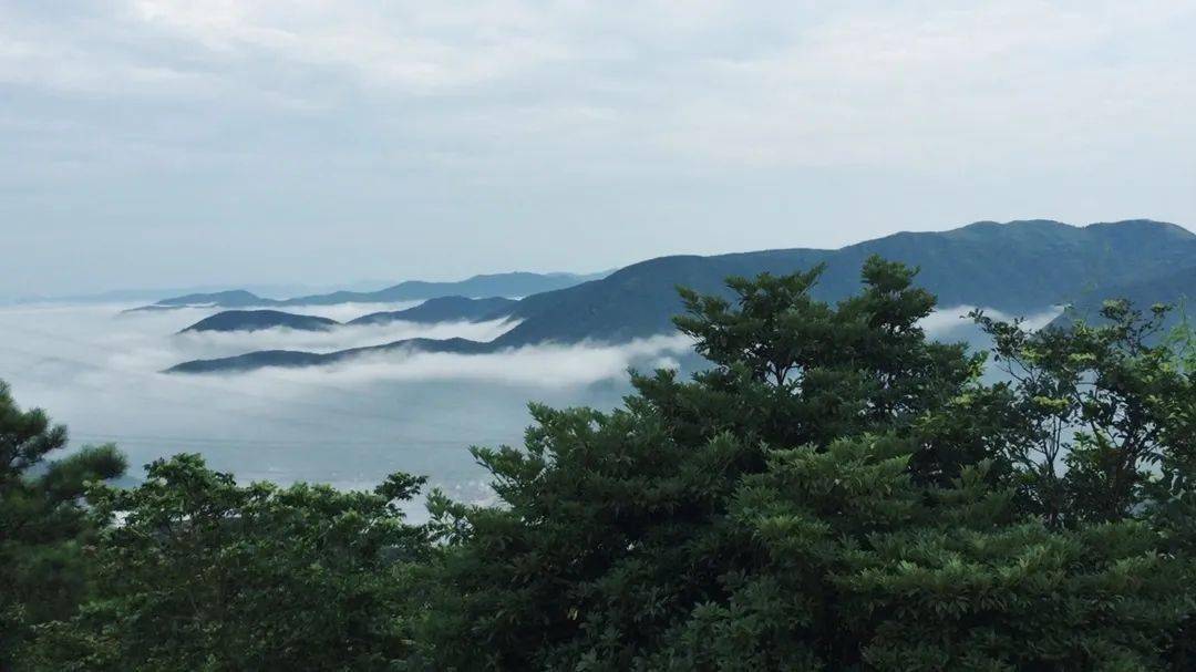 真實的感覺,夢境般遙遠白色的風車,安靜地轉著福泉山上海風沁人,植被