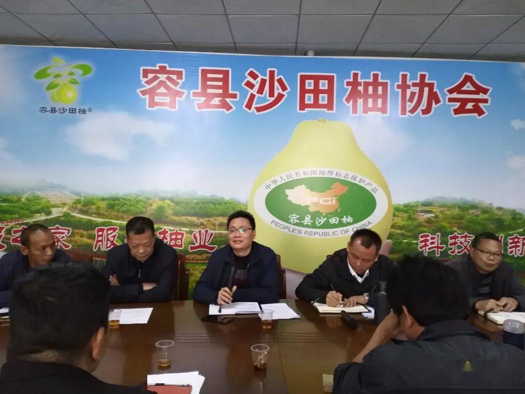 容县商务咨询行业的发展动态