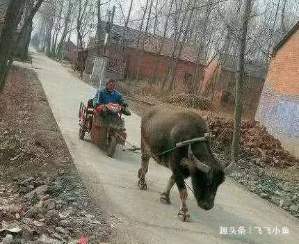 搞笑gif:不能我一个人丑,要丑大家一起丑!