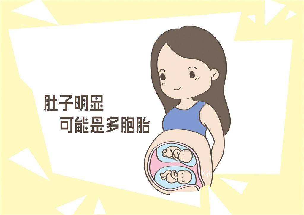 怀双胞胎的肚子是怎样的 afce483da4c04470b1ade1fbfe30b9c0.jpeg