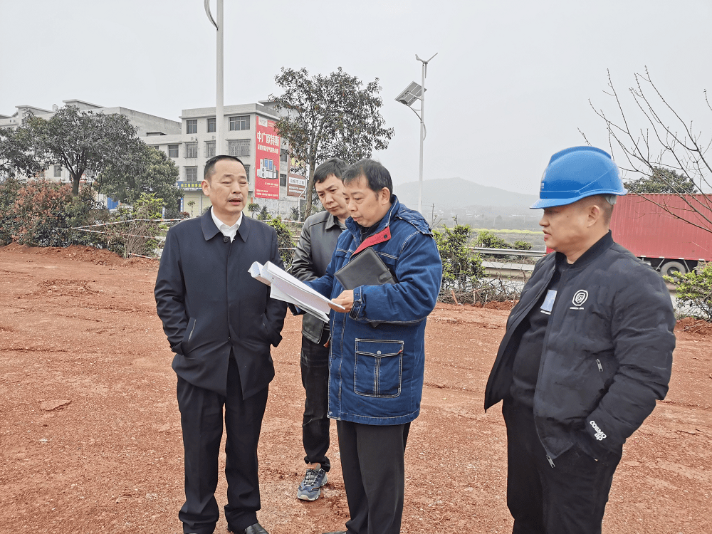 甦仙區能源監察和電力行政執法大隊排除一起線路安全隱患