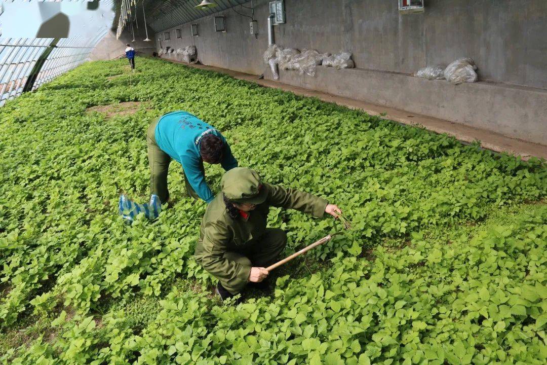 风光无限向荣耕读人家红色旅游玩起来