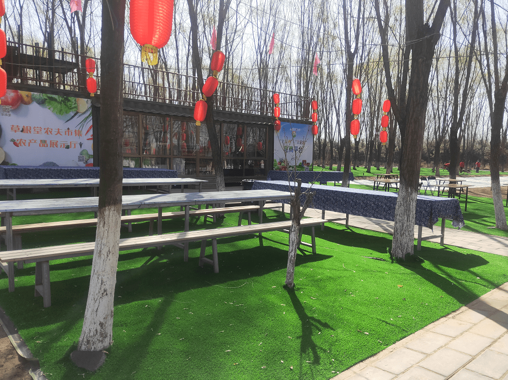 千亩氧吧药草飘香草根堂农场焕然一新香草堂一号院栀子金花对外开放