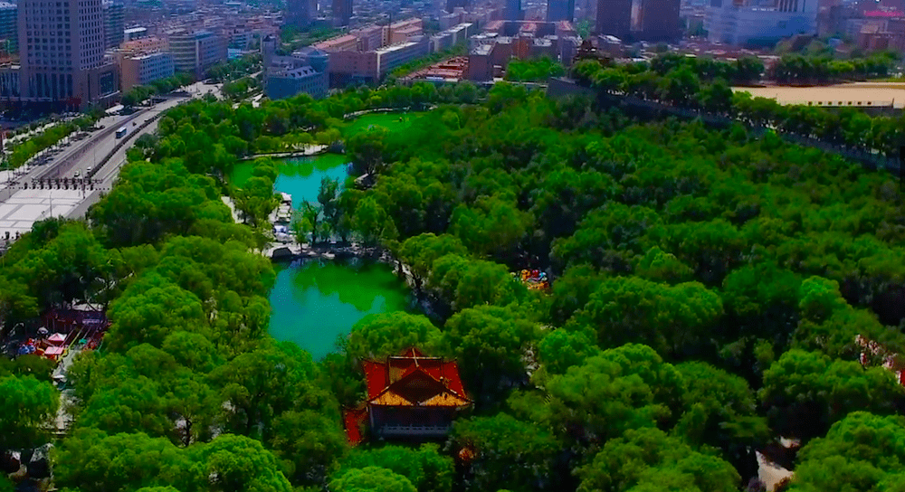 柳湖公園是國家3a級旅遊景區平涼八大景之一的明代王府花園,風景綺麗.