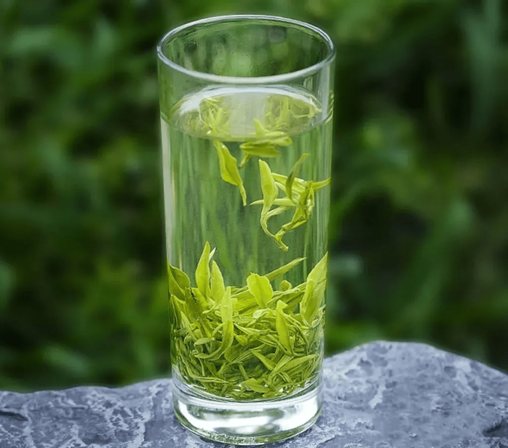 您可以自驾前往滴水香核心产区,打卡网红茶园,与我们共同见证今年的"