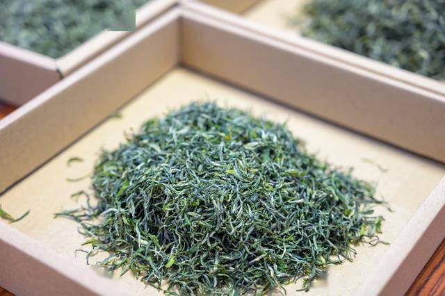 信阳毛尖明前茶受寒减产成品茶价格上浮1530