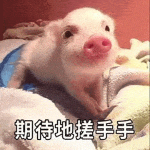 300_300gif 动态图 动图