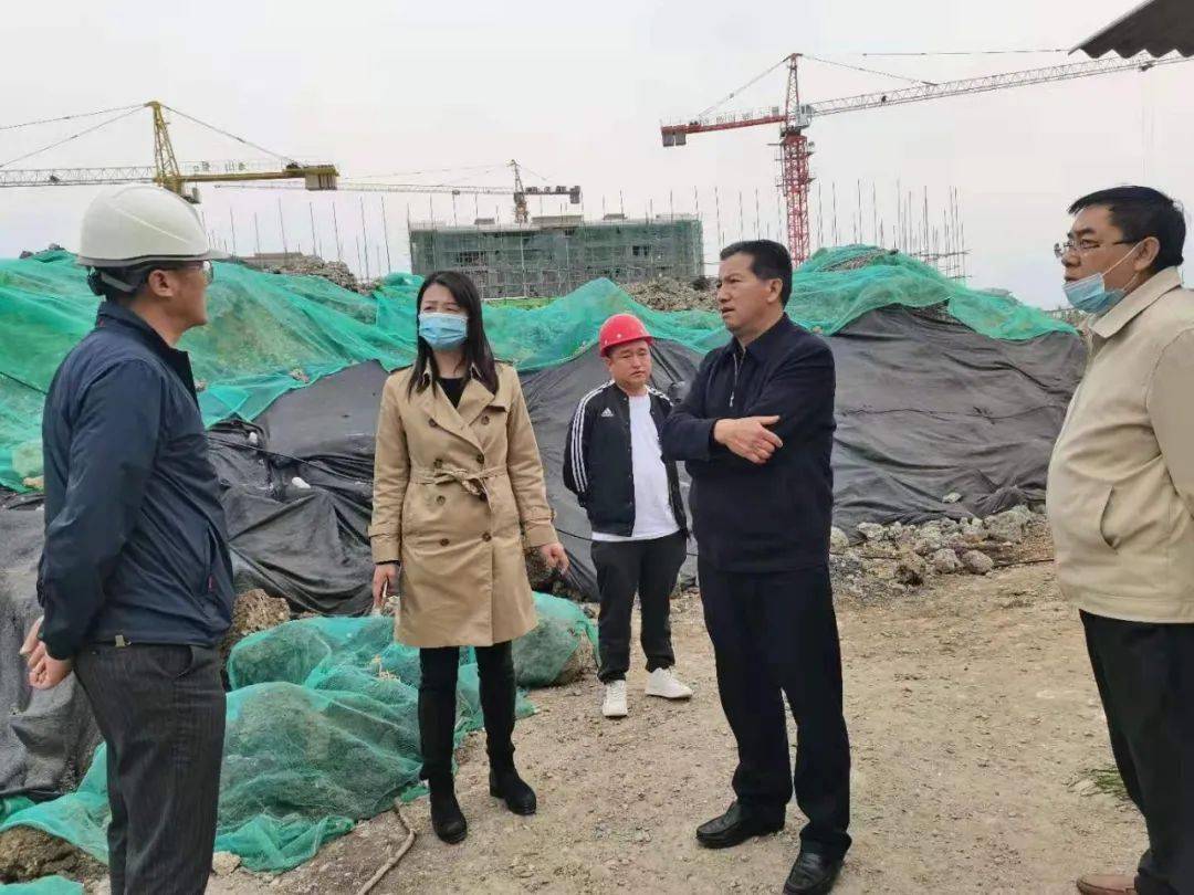 丽江市人民政府副市长魏妮娅调研国家卫生城市复审暗访准备工作