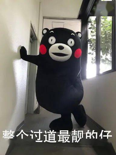 badf35944ab04af39225ee43b0a634ab.jpeg