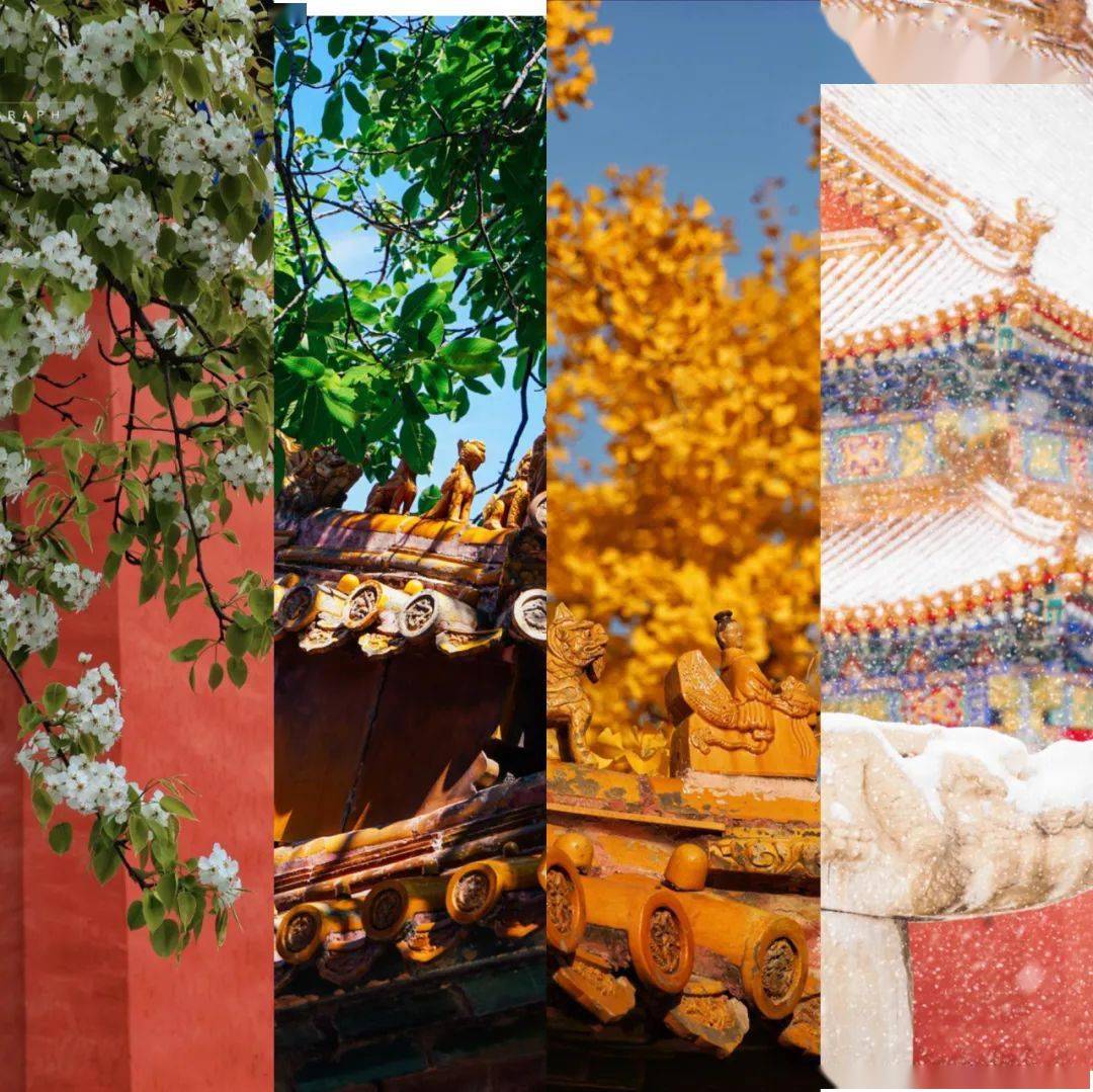 故宫海棠美上热搜!50张图带你看遍紫禁城的四时风光!