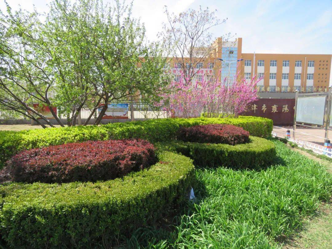 雍阳中学关于开通招生办学咨询电话的说明