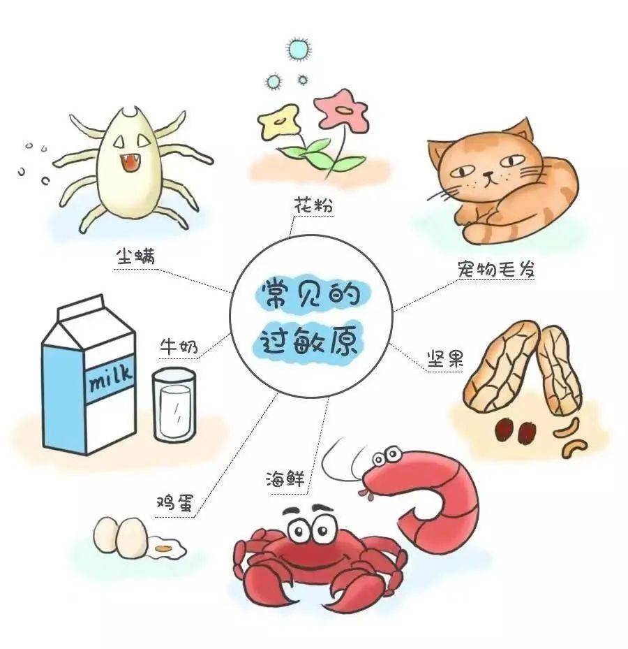 4db86a2ffa604b508e38c316a903fd53.jpeg
